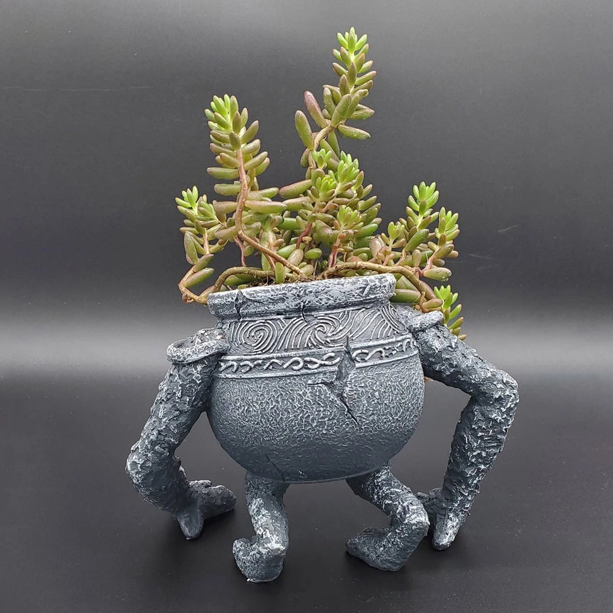 Frog Garden Planter – Whimsical Patio Pot with Legs for Plants & Succulents