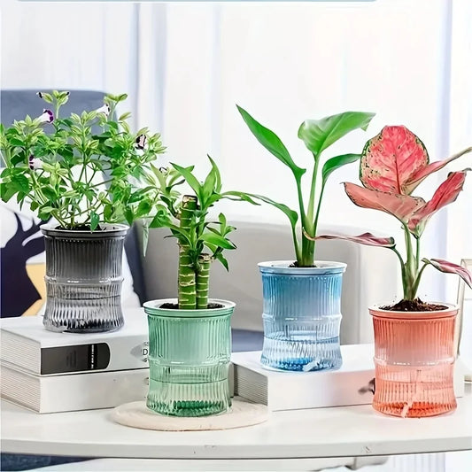 Lazy Hydroponic Self-Watering Transparent Flower Pot